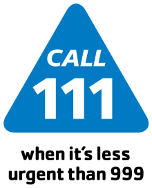 111 logo